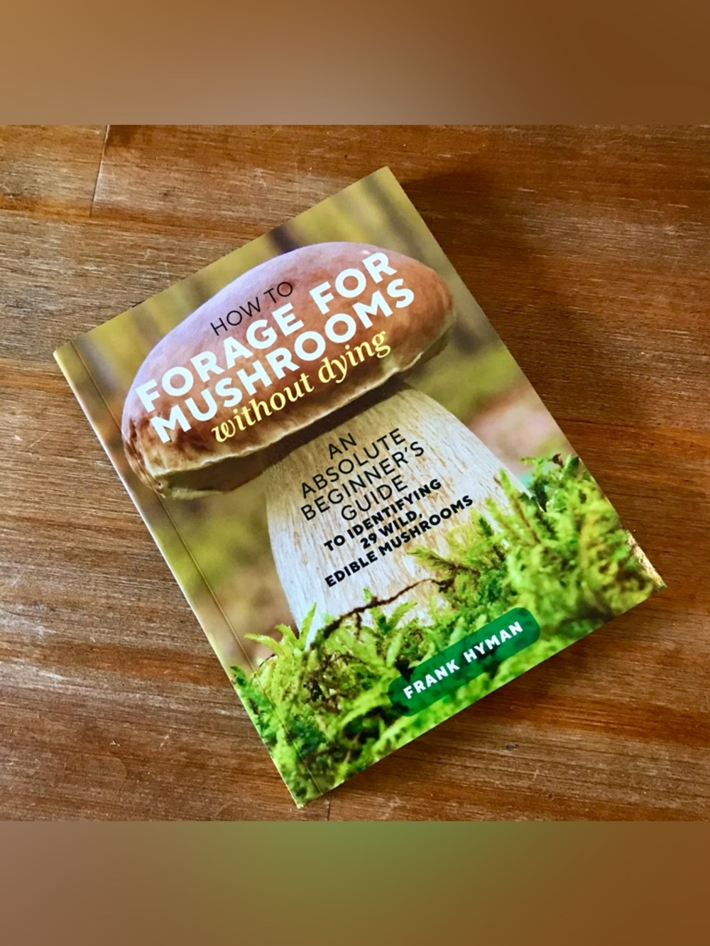 How To Forage For Mushrooms Without Dying Beginners Guide DIY Forager Tips More